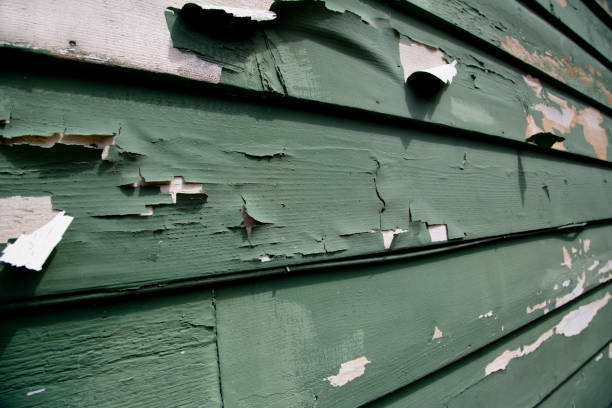 Best Steel Siding Installation  in Prairie Ridge, WA