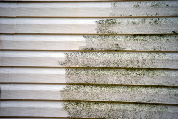 Best Storm Damage Siding Repair  in Prairie Ridge, WA